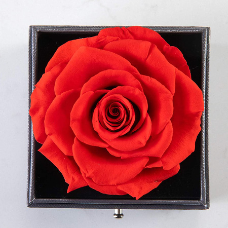 Eternal Real Rose with Jewellery Gift Box - 999inks